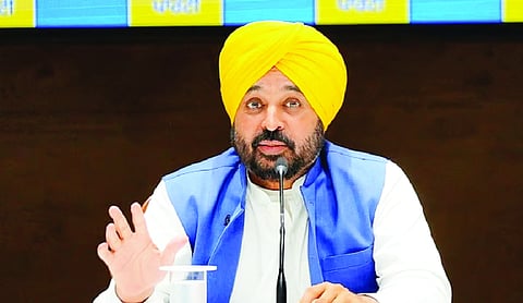 Punjab CM Mann calls for massive awareness drive to curb stubble burning