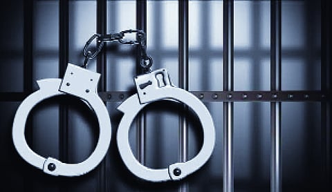 Punjab Police foil targeted killing plot backed by foreign handler