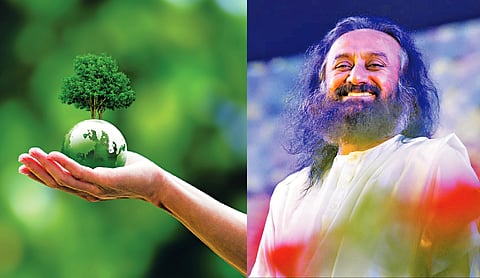 Rekindle The Sense of Sacredness for The Planet