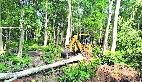 SC asks Uttarakhand Government to file report disclosing illegal constructions on forest land