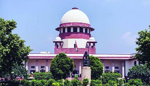 SC to consider DDA plea for further tree felling in Delhi Ridge only after compliance review