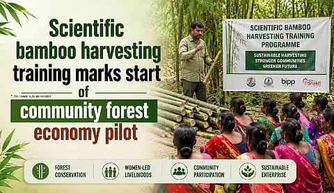 Scientific bamboo harvesting training marks start of community forest economy pilot