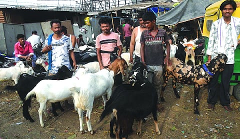 Sealed by authorities, decades-old goat market in Varanasi wears deserted look on Bakrid