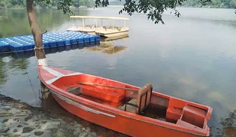 Siswan-Mirzapur forest emerges as Punjab’s top eco-tourism hub