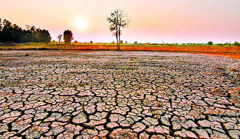 Super El Niño: A brewing climate shock
