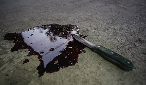 Stock Image
