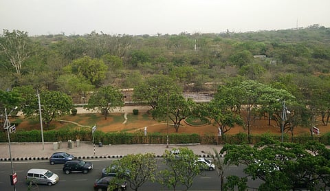 Representational image: A view of the road along the KBR Park boundary in Banjara Hills, Hyderabad. Photo: Rahmanuddin / Wikimedia Commons, CC BY-SA 4.0.