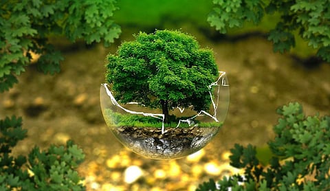 TERI’s 25th WSDS to focus on sustainable transformations