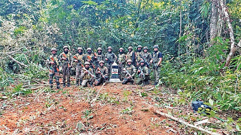 The cross-border linkages of insurgents