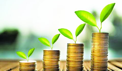 The green advantage: Why sustainability could decide the future of India’s MSMEs