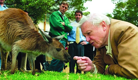 The man who made the world fall in love with nature turns 100