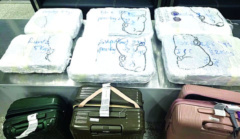 Two Thai nationals arrested at IGI Airport with weed worth Rs 48 crore