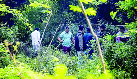Urban forests store carbon worth Rs 4 lakh/hectare: Study