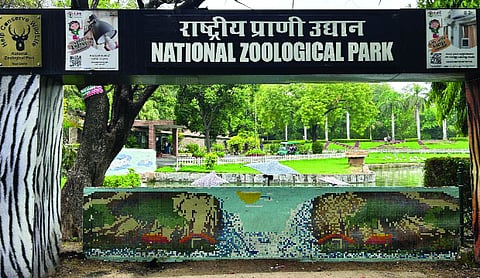 UV bulbs, special diet to keep animals warm at Delhi zoo