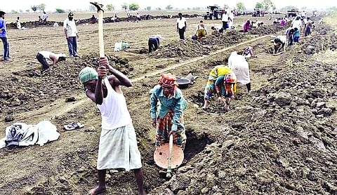 VB-G RAM G Act to come into force from July 1: Govt