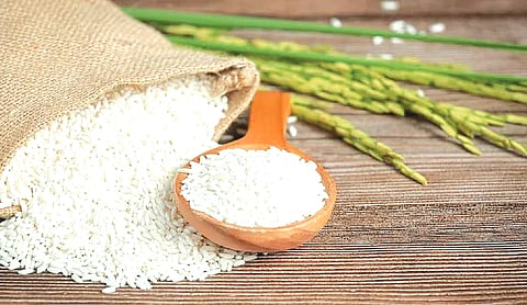 West Asia crisis: Rice exports dip 7.5 per cent in 2025-26