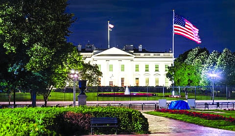 White House to turn into UFC cage fight arena on June 14