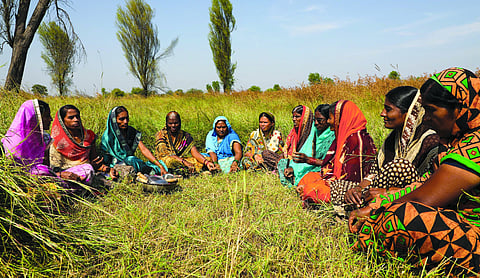 Women Farmers Empowerment Bill introduced in Maharashtra