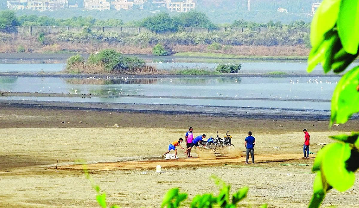Demarc Point Environmentalists Urge Maharashtra Government to Protect 23,000 Wetlands