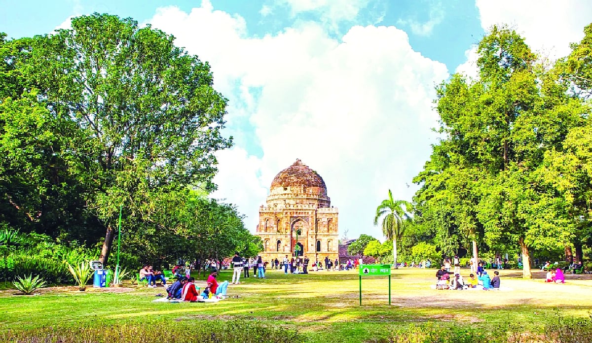 Delhi Plans Up to 100% Funding for Park Maintenance, Boosts Green Cover ...