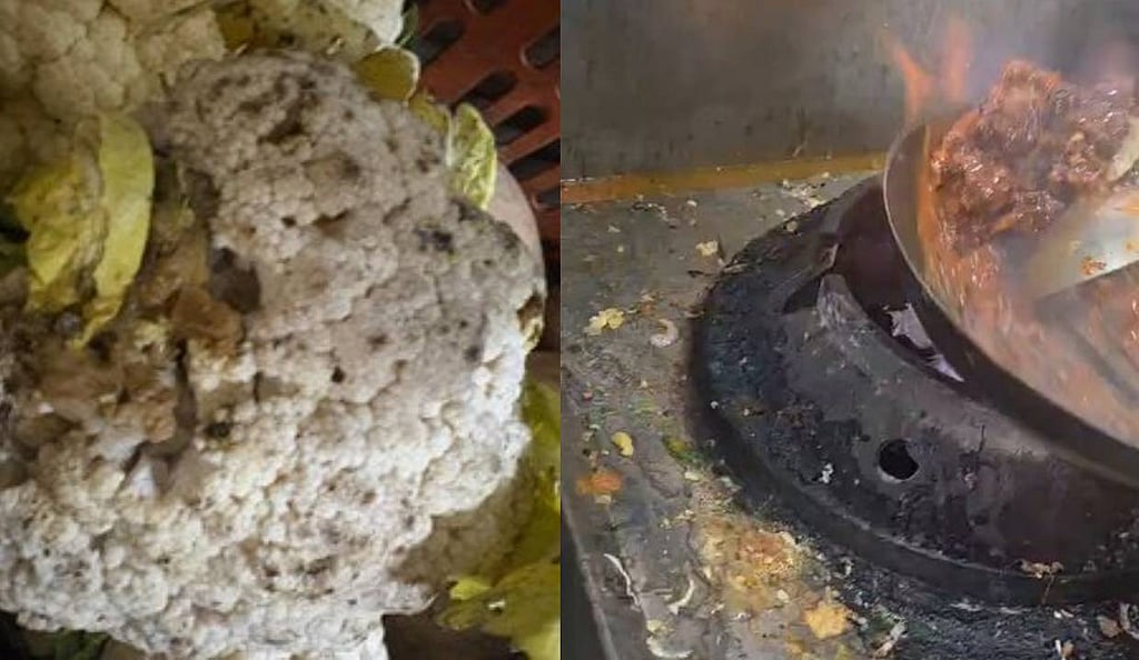Food Safety Inspections Expose Hygiene Violations at Cyberabad Eateries