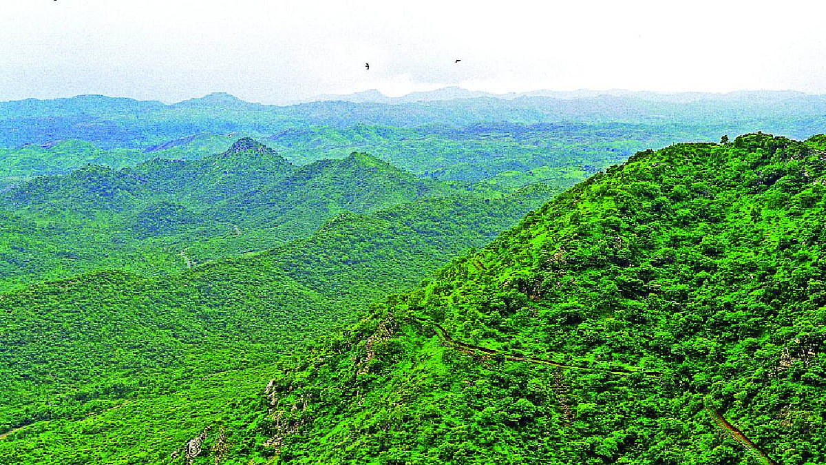 Why the Supreme Court’s scrutiny of Haryana’s Zoo Safari matters