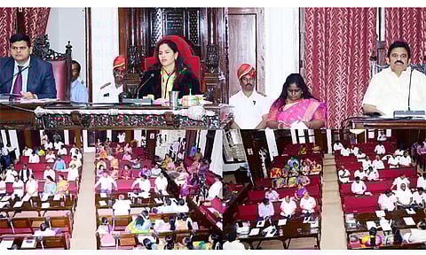 சென்னையில் மாடுகளுக்கும் மைக்ரோ சிப் கட்டாயம் - சென்னை மாநகராட்சி கூட்டத்தில் முடிவு 