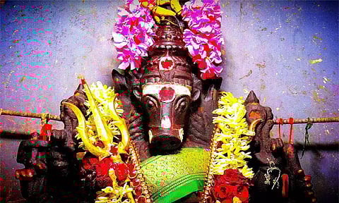மாங்கல்ய பலம் தரும் வாராகி வழிபாடு