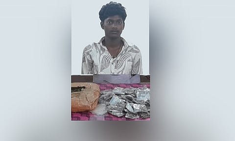 நெல்லையில் 1.3 கிலோ கஞ்சா பறிமுதல்: வாலிபர் கைது 