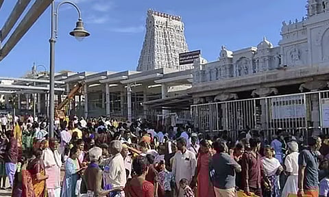 விடுமுறை தினம்: திருச்செந்தூரில் நீண்ட நேரம் காத்திருந்து பக்தர்கள் தரிசனம்
