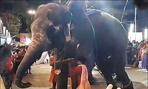 கோவில் திருவிழாவில் மிரண்டு ஓடிய யானை - கட்டுப்படுத்த முயன்ற பாகனை தாக்கியது