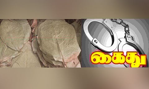 ரூ.16 லட்சம் மதிப்புள்ள பீடி இலைகள், சரக்கு வாகனம் பறிமுதல்: வாலிபர் கைது 