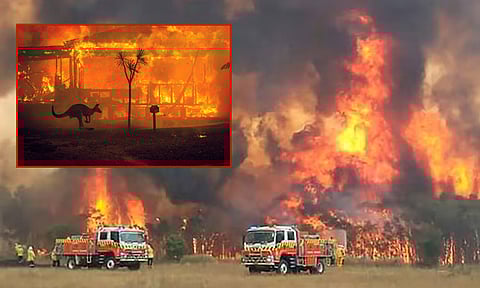 
அர்ஜென்டினா, ஆஸ்திரேலியாவில் காட்டுத்தீ கோரத்தாண்டவம்! 3 ஆயிரம் ஆண்டுகள் பழமையான மரங்கள் எரிந்து நாசம்... விஞ்ஞானிகள் எச்சரிக்கை
