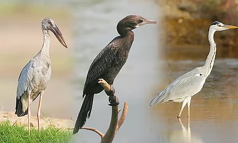 கோப்புப்படம்