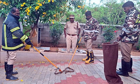 தோட்டத்தில் பதுங்கியிருந்த 5 அடி நீள நல்ல பாம்பு: தீயணைப்பு வீரர்கள் மீட்பு 