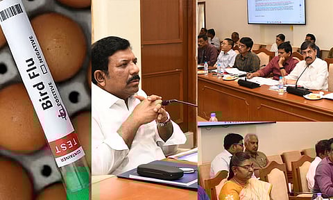 பறவை காய்ச்சல் பற்றிய வதந்திகளை பொதுமக்கள் நம்ப வேண்டாம் - தமிழக அரசு அறிவுறுத்தல்