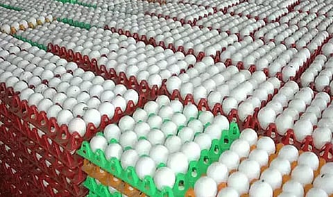 நாமக்கல் மண்டலத்தில் முட்டை விலை 5 காசுகள் உயர்வு
