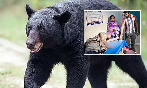 ஒடிசாவில் கோடரியால் கரடியை அடித்து விரட்டி கணவரை காப்பாற்றிய பெண் 