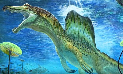 ஆப்பிரிக்காவில் ’ஸ்பைனோசோரஸ்’ இன எச்சங்கள் - ஆய்வாளர்கள் அதிர்ச்சி தகவல்