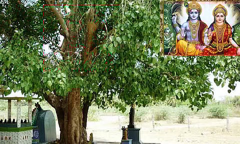 அரச மரம் தல விருட்சம்