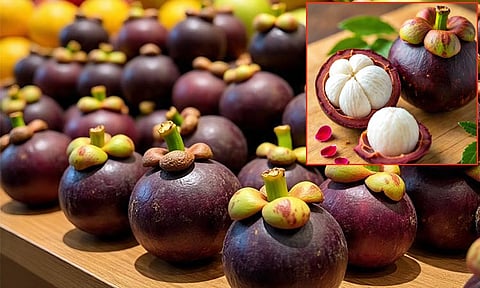 மங்குஸ்தான் பழம்