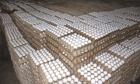 போர் பதற்றம்: நாமக்கல்லில் முட்டை ஏற்றுமதி அடியோடு பாதிப்பு