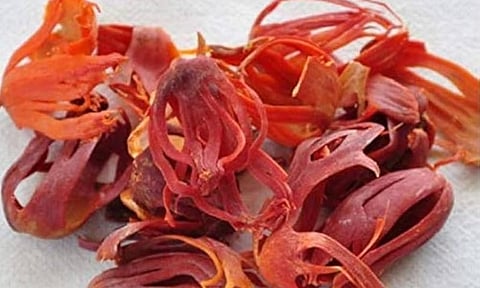 தேவை அதிகரிப்பால் இருப்பு தீர்ந்தது: ஜாதிபத்திரி விலை  திடீர் உயர்வு 