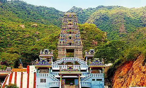 மருதமலை முருகன் கோவிலில் செல்போன் பயன்படுத்தவும், புகைப்படம் எடுக்கவும் தடை
