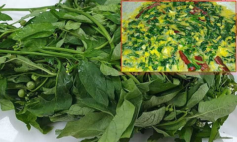 மணத்தக்காளி கீரை