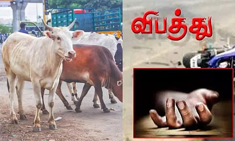 மாடு குறுக்கே வந்ததால் பைக் விபத்து: வாலிபர் உயிரிழப்பு