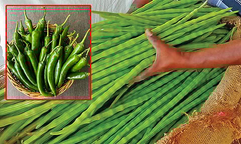 உலக அரங்கில் ஏற்றுமதி சந்தையில் முன்னேறும் முருங்கை, மிளகாய்