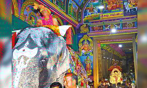 கொடியேற்றத்தையொட்டி மீனாட்சி அம்மன் கோவிலில் இருந்து கொடிப்பட்டத்தை வாங்கி, யானை மேல் வைத்து வீதி உலா வந்தனர்.