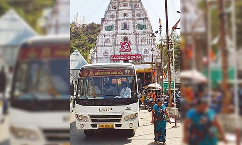 இலவச பஸ் சேவை