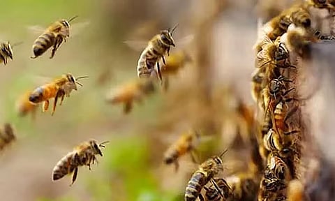 கோப்புப்படம்